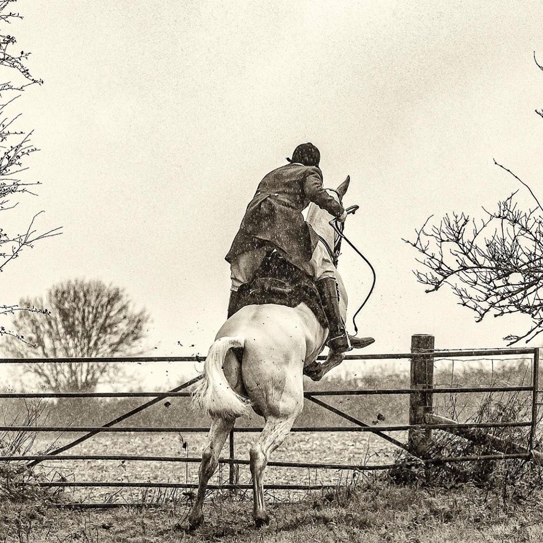 South Dorset Hunt - Gate Jumping